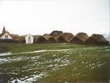 Picture from Iceland 44.