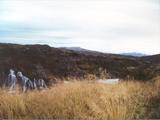 Picture from Iceland 44.