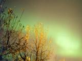 Picture from Iceland 13.