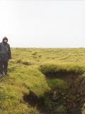 Picture from Iceland 41.
