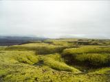 Picture from Iceland 41.