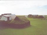 Picture from Iceland 41.