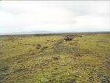 Picture from Iceland 6.