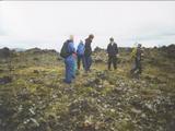 Picture from Iceland 6.