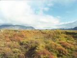 Picture from Iceland 6.