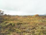 Picture from Iceland 6.