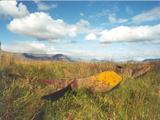 Picture from Iceland 6.